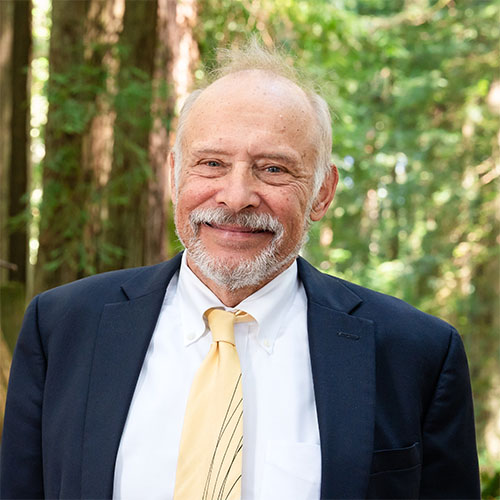 A well dressed man stands in the forest and smiles