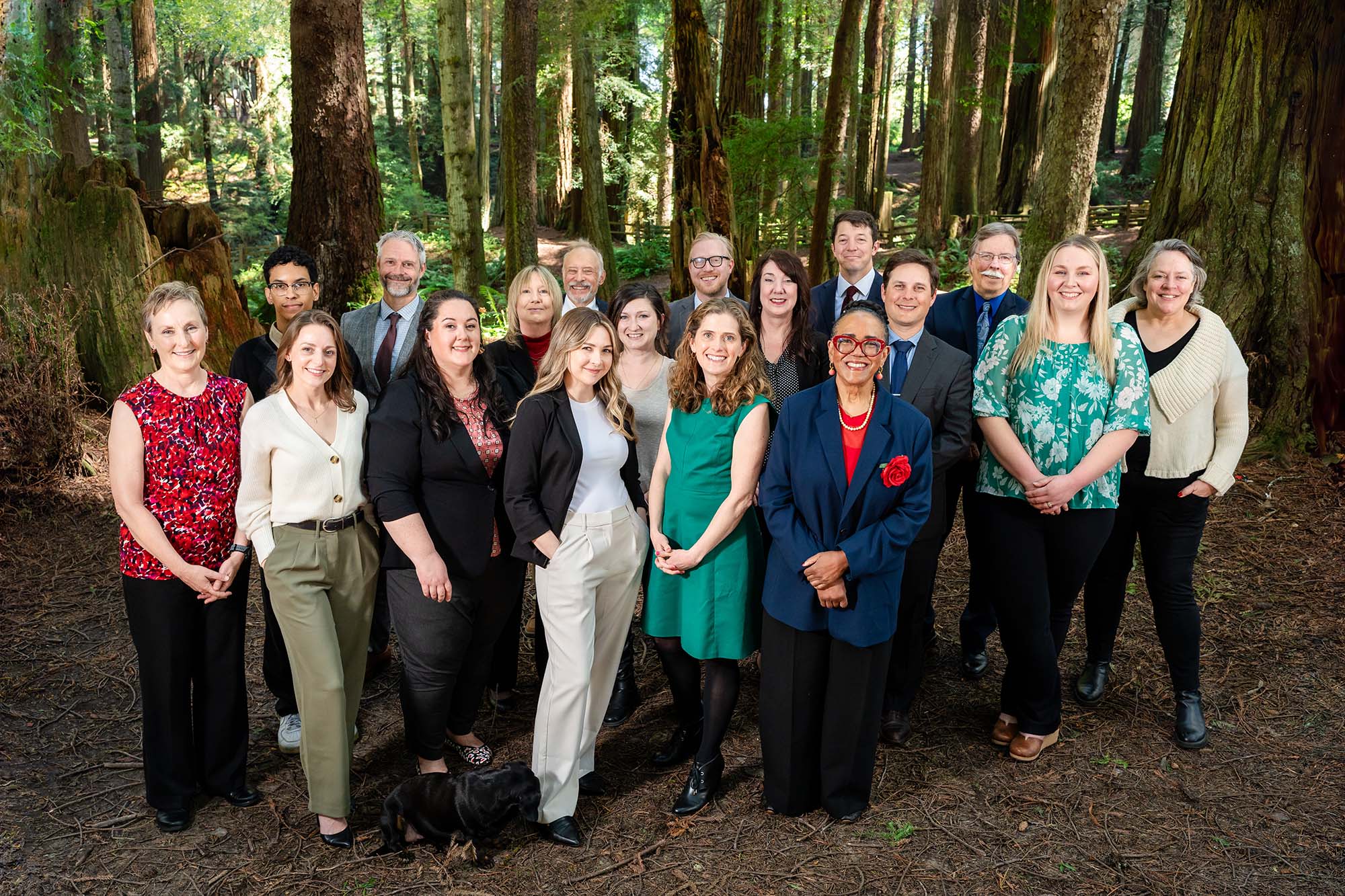 A group of well-dressed people stand in the forest and smile